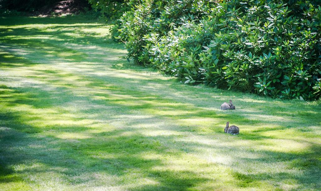 Claverton Hotel Battle Dış mekan fotoğraf