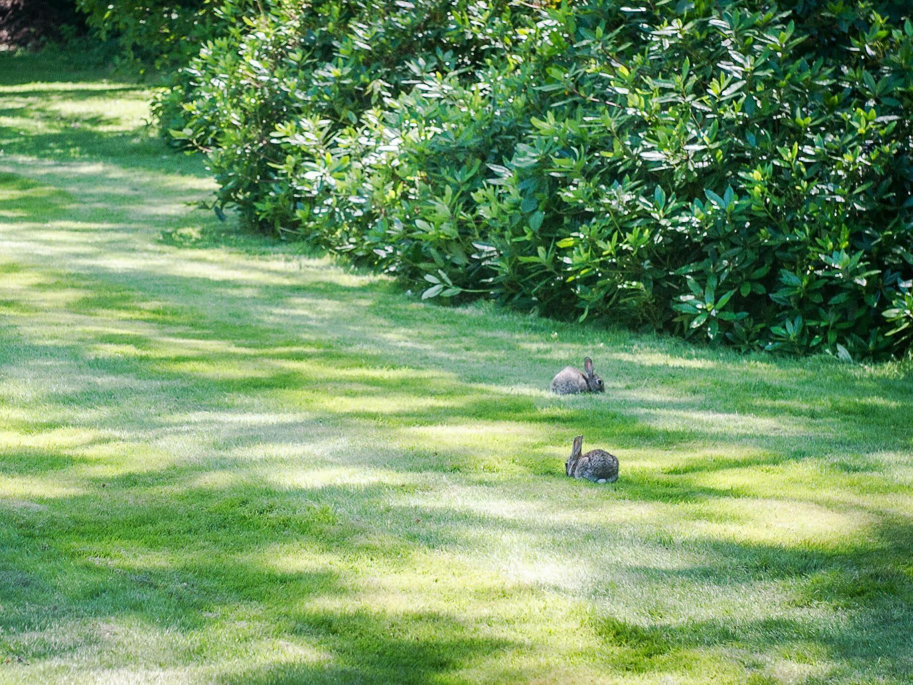Claverton Hotel Battle Dış mekan fotoğraf